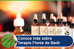 25octubre